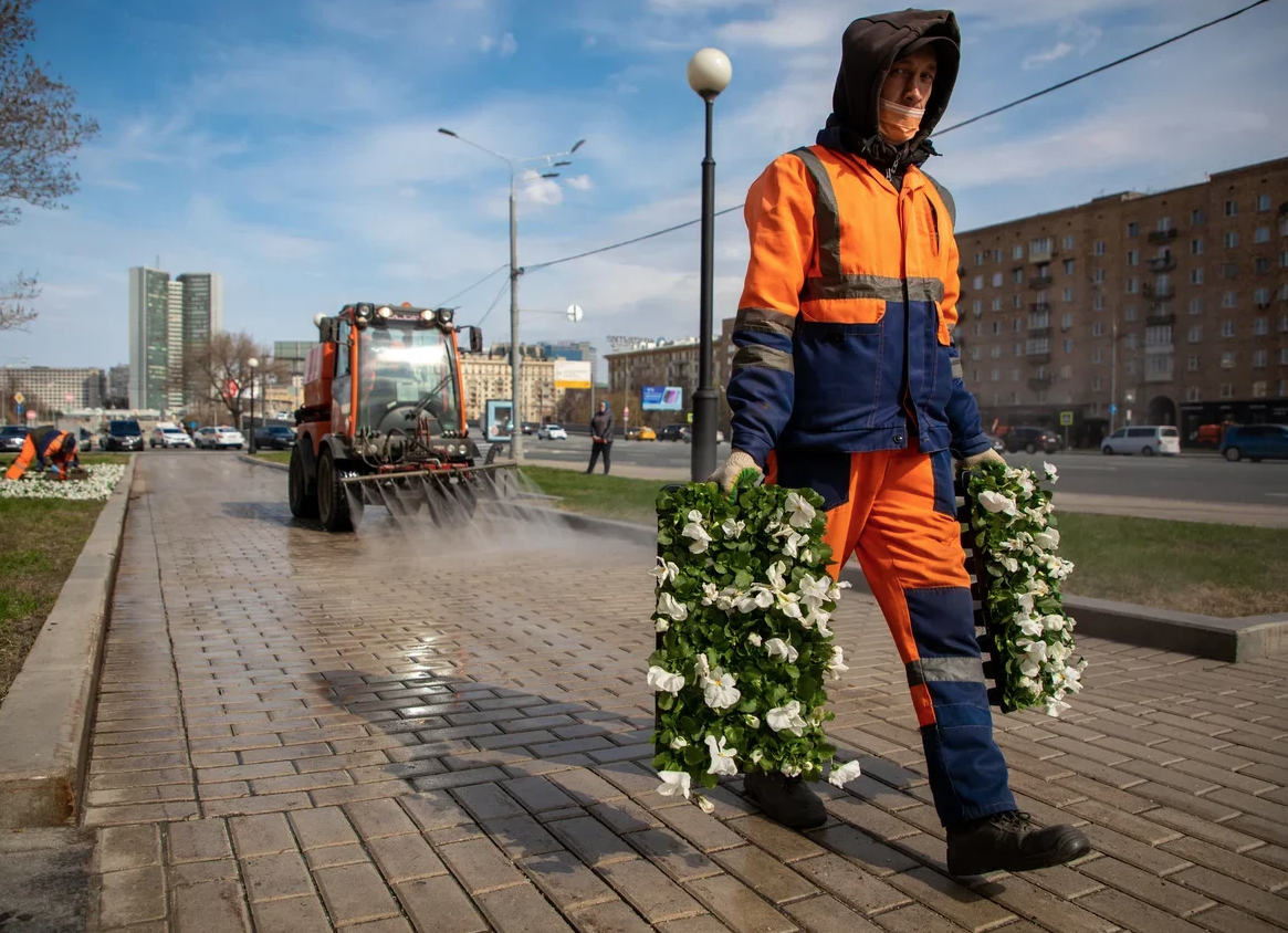 54 миллиона цветов украсят Москву в этом году